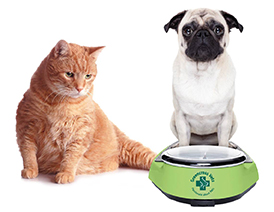 Greencross Pet Obesity