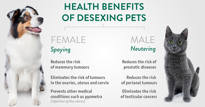 Infographic featuring the benefits of desexing your pet