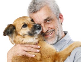 Aging dog with owner