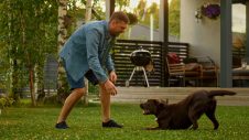 GXV_HeroBanner_Dog_02