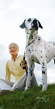 Greencross Vets Macedon Ranges