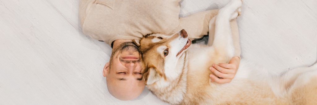 Preparing your pet for surgery - Greencross Vets