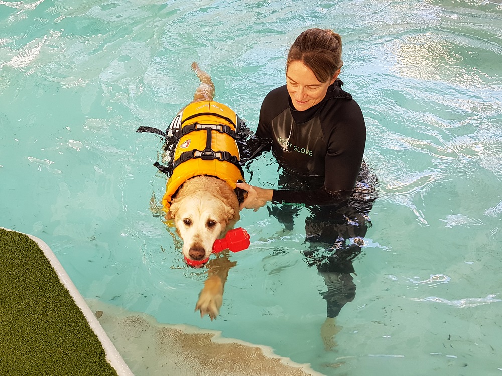 hydrotherapy pool for dogs near me