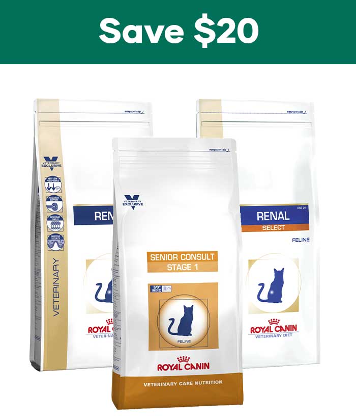 Royal Canin winter promotion