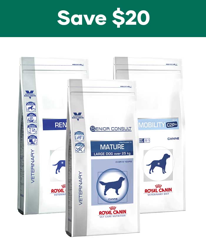 Royal Canin winter promotion