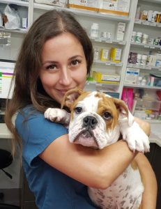 Vet Nurse Salary Qld