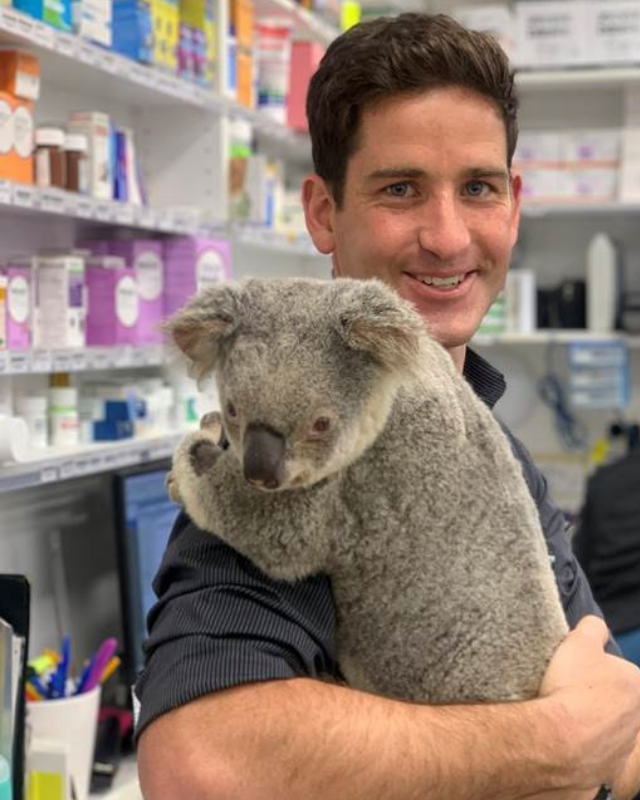 Vet Dr Martin holding a koala