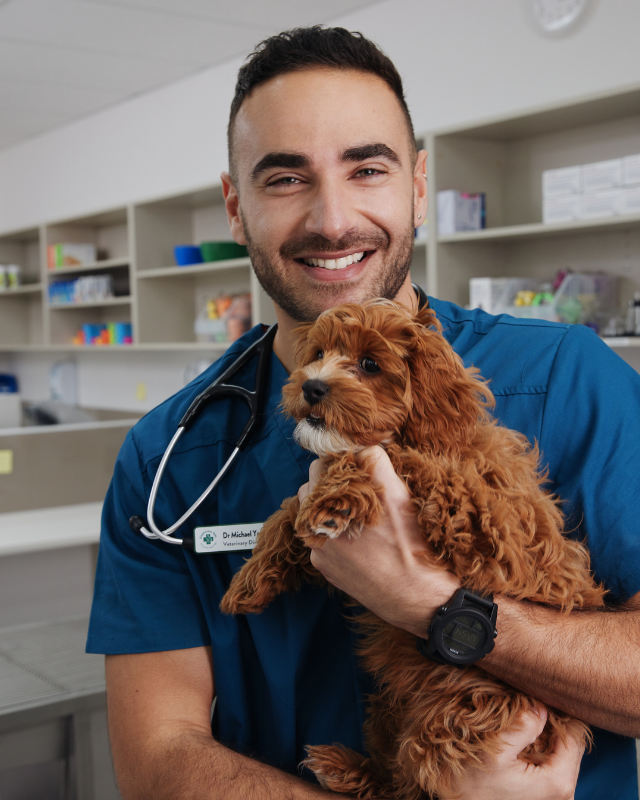 Vet Dr Michael with a young puppy