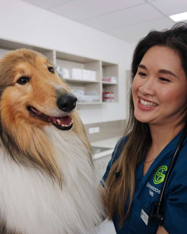Greencross Vets - Your Pets Health. Australia's Leading Veterinary Group