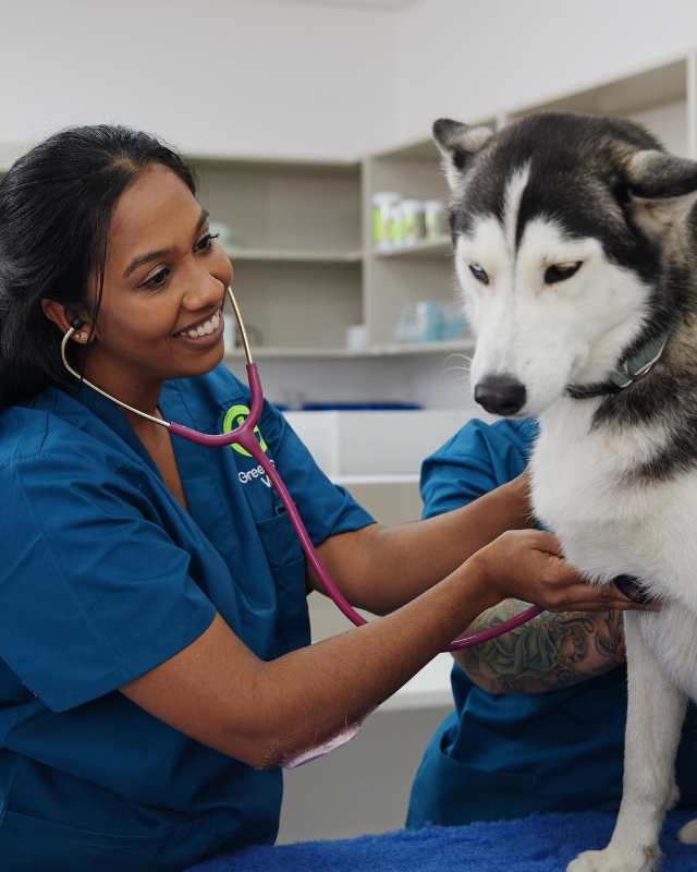 Greencross Vets - Your Pets Health. Australia's Leading Veterinary Group