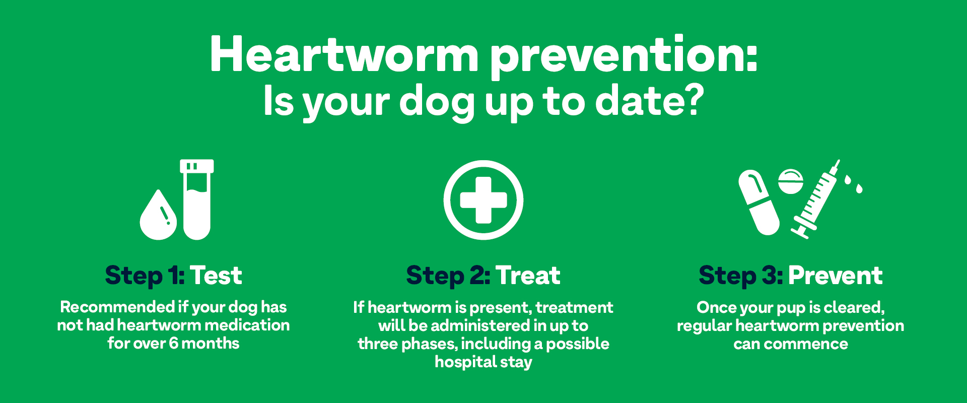 can heartworm medication cause diarrhea in dogs