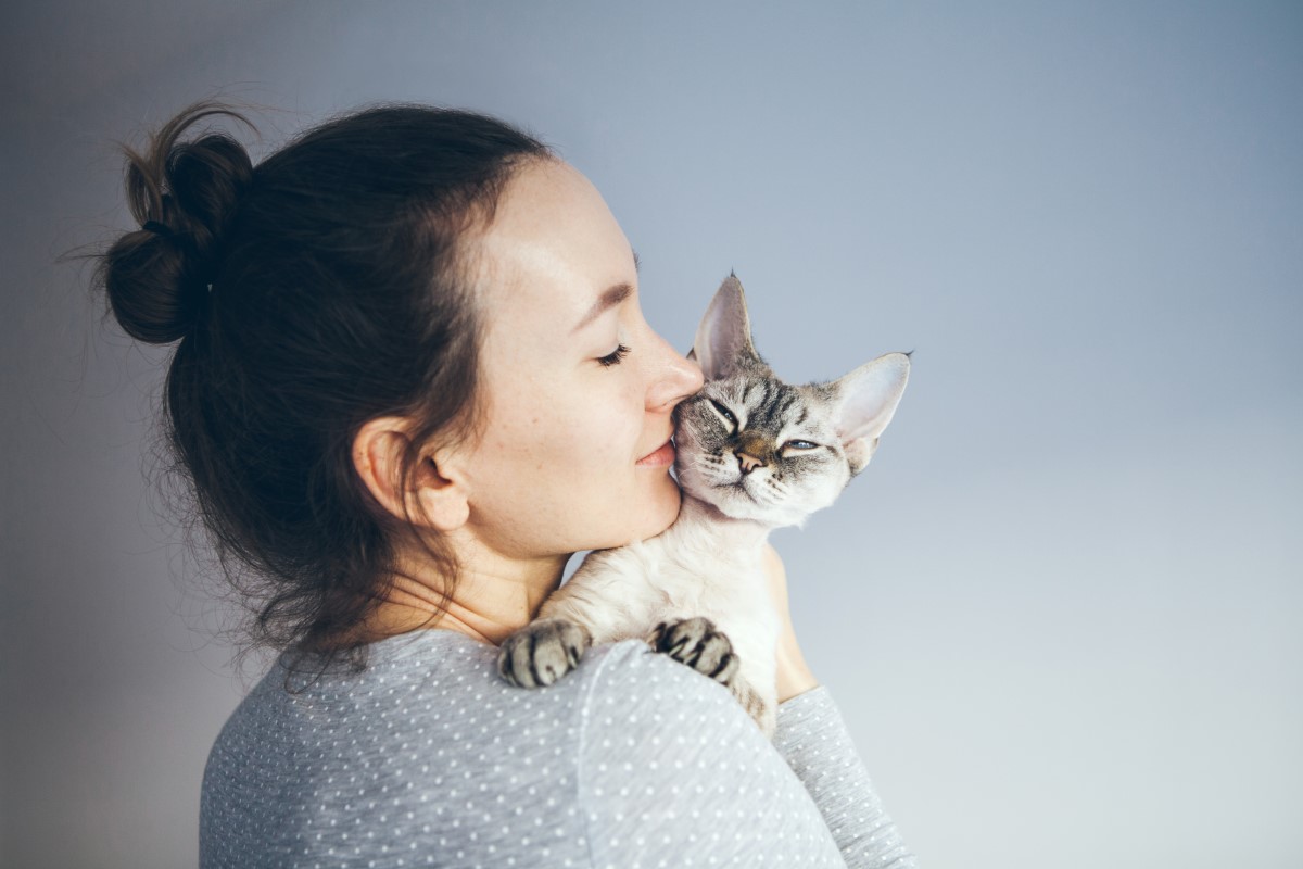 Pet cat with owner