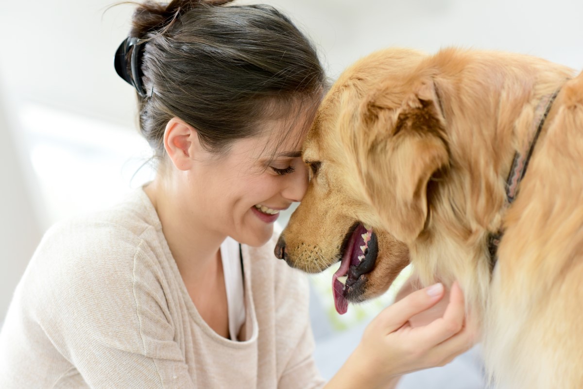 Person with their dog