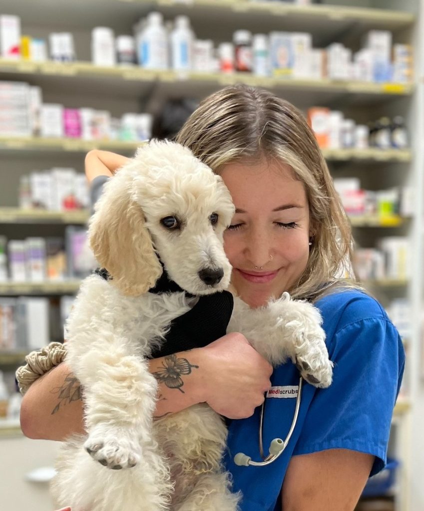 A Vet nurse in an AEC branded blue scrub top in hospital area, smiling holding a cute white dog