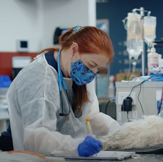 Nurse Sally Lee working in hospital wearing a mask