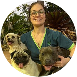 Image of Dr Jade with her three dogs