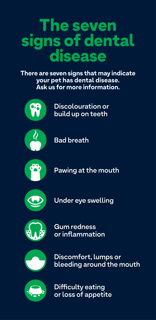 Greencross Vets infographic - The seven signs of pet dental disease
