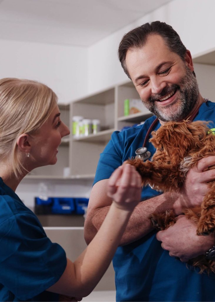 A vet holding a puppy while a nurse gives the dog a treat