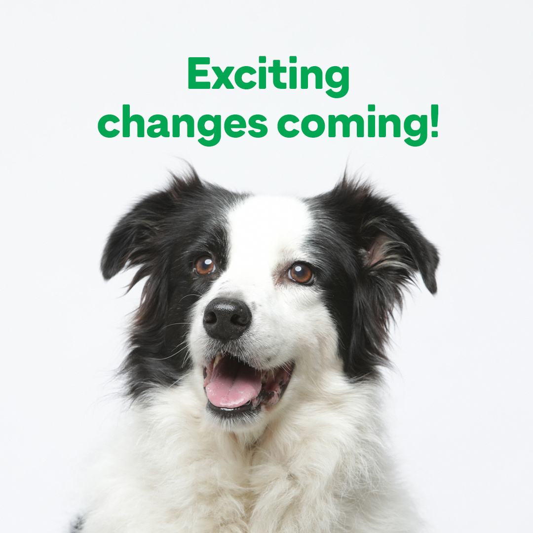 Veterinary Clinic | Greencross Vets South Tamworth Veterinary Clinic | Greencross Vets South Tamworth