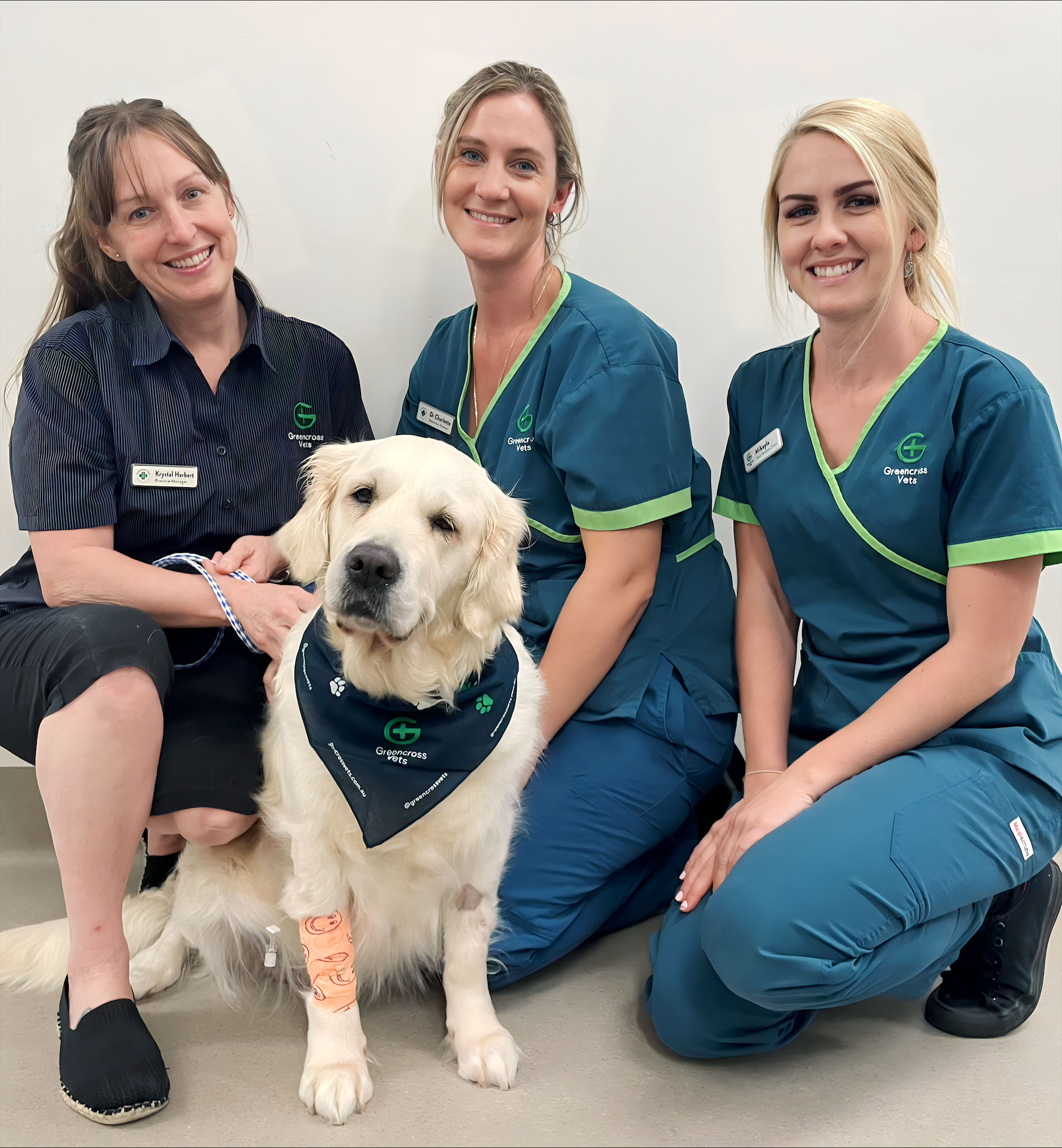 Veterinary Clinic | Greencross Vets Kawana Waters Veterinary Clinic | Greencross Vets Kawana Waters