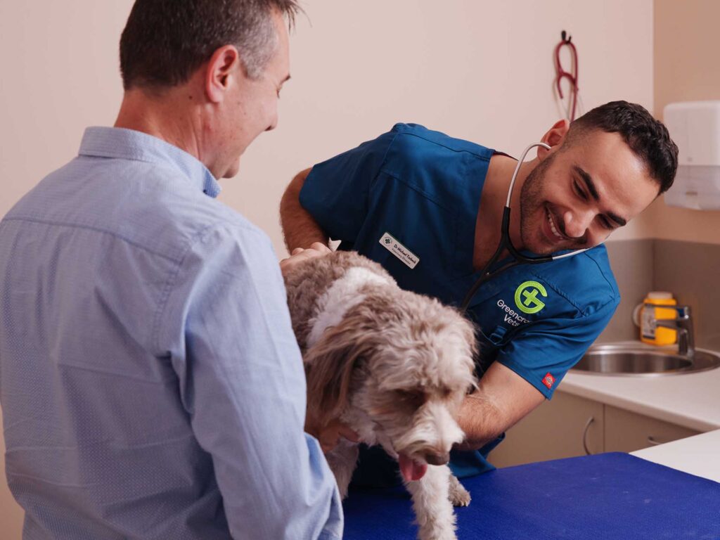 Greencross Vet consult with dog