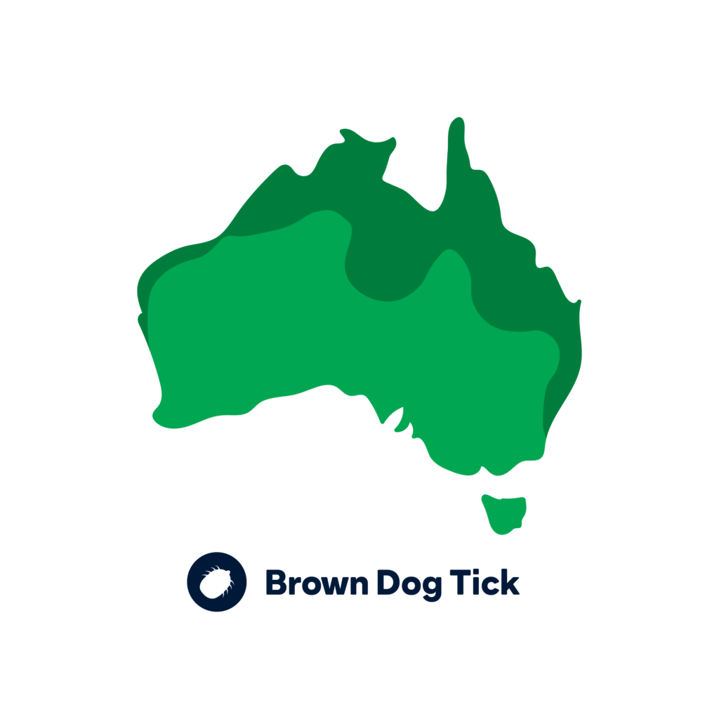 brown dog tick commonly found map
